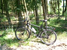 Hapes Mountainbike