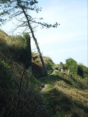 Wanderweg mit Blick auf den Atlantik