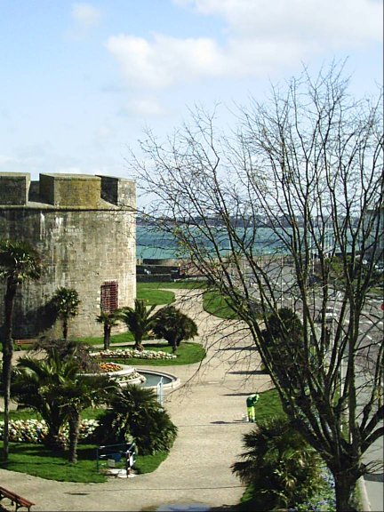 Palmen in Saint-Malo